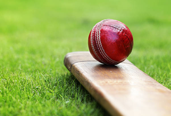 bat and bowl in ground